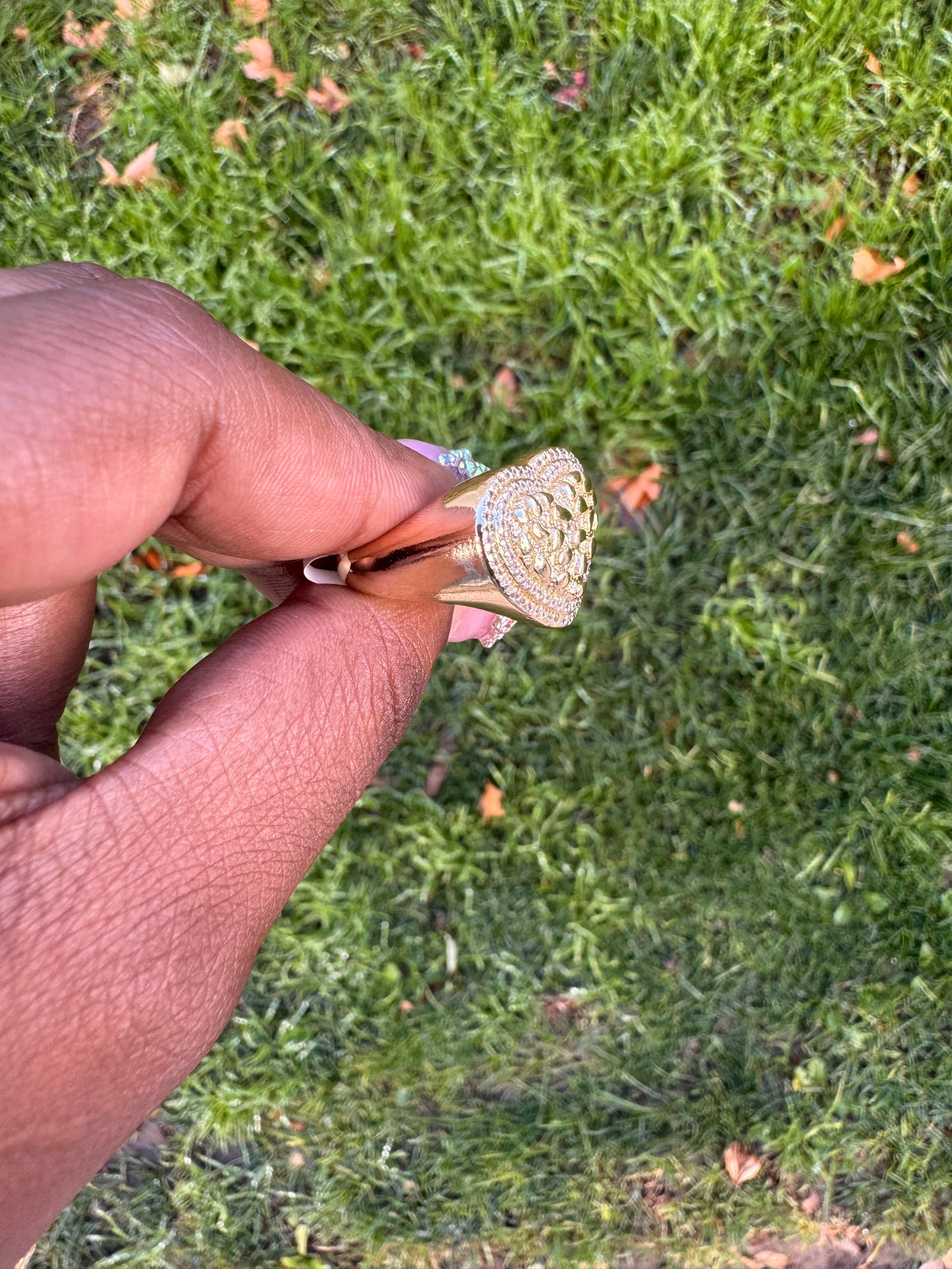 𝓑𝓘𝓖 𝓗𝓔𝓐𝓡𝓣 𝓡𝓘𝓝𝓖