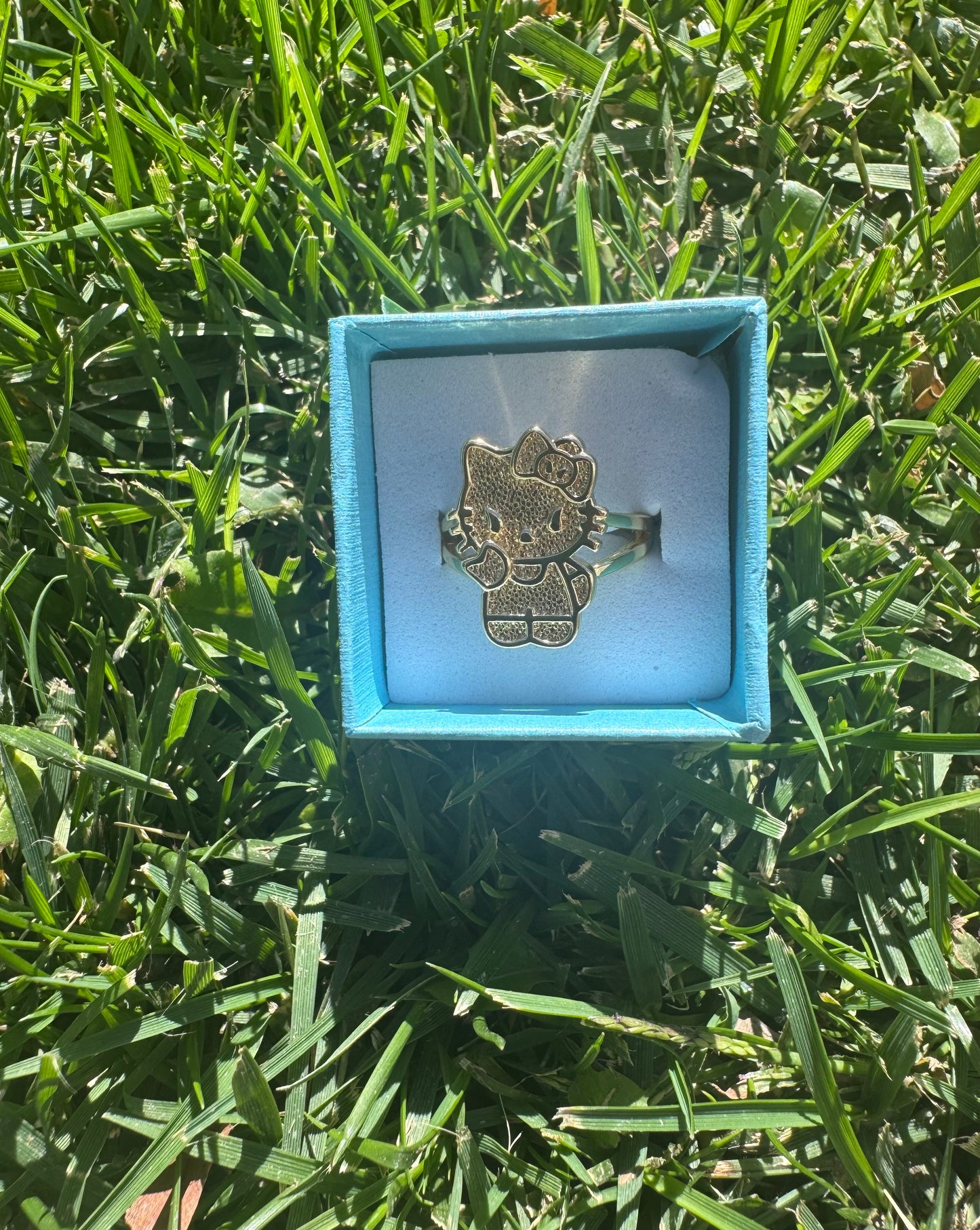 𝓗𝓔𝓛𝓛𝓞 𝓚𝓘𝓣𝓣𝓨 𝓡𝓘𝓝𝓖